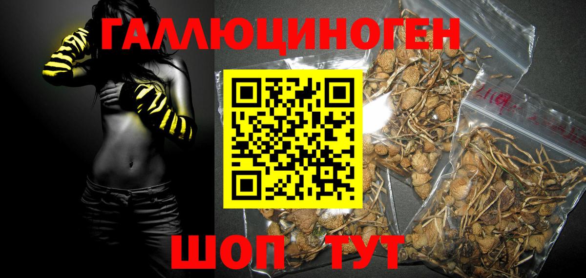 Галлюциногенные грибы GOLDEN TEACHER  Псилоцибиновые грибы мухоморы  Вход с VPN  Сызрань 
